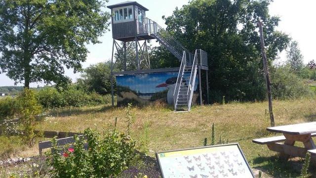 Enjoy Meer Und See Ferienhaus -In Lauwersoog- 1-6 Pers- 3 Schlafzimmer- Fruehes Einchecken Ab 14 Uhr Екстер'єр фото